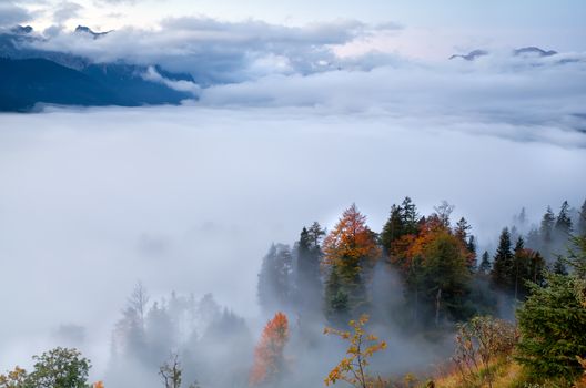 dense morning fog in Alps during autumn, Wallgau, Bavaria, Germany