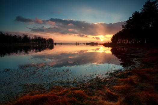 gold sunrise over lake in forest, Dwingelderveld, Drenthe, Netherlands