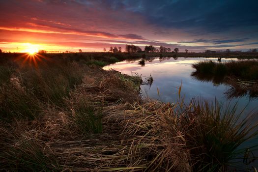 sunrise sunbeams over swamp in autumn, Onlanden, Drenthe, Netherlands