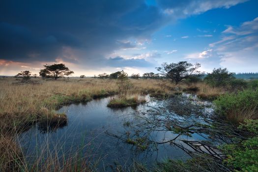 rainy sky over bog, Fochteloerveen, Drenthe, Friesland, Netherlands