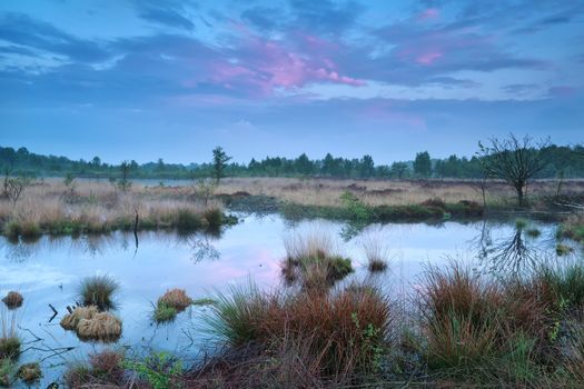 beautiful sunset over bog, Fochteloerveen, Drenthe, Friesland, Netherlands