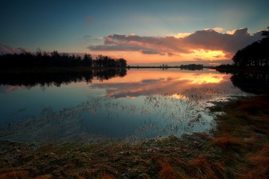 sunset on wild lake in forest, Dwingelderveld, Drenthe, Netherlands