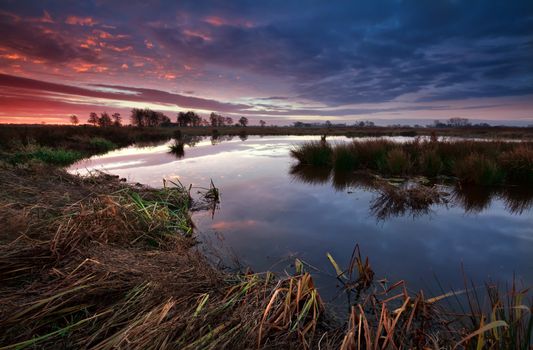dramatic sunrise over swamp, Drenthe, Netherlands