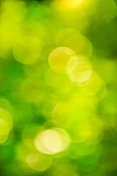 artistic background. green bokeh of blurred leaves blurred with sun flare
