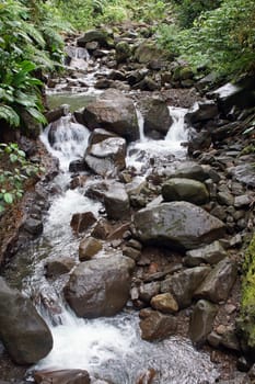 Creek in the rainforest of Guadeloupe, Caribbean