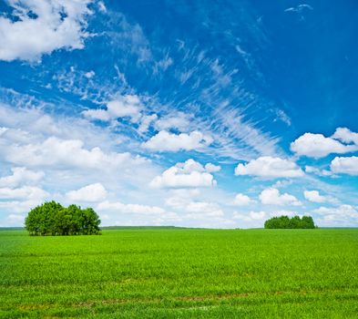 green field with trees and blue sky