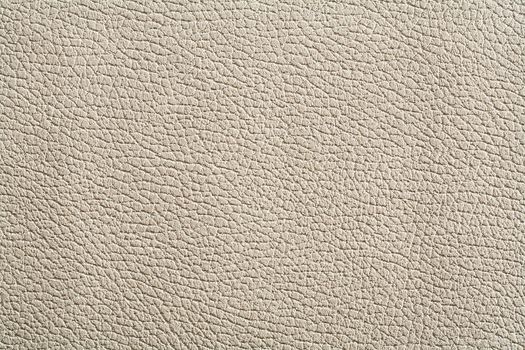 high rezolution texture of white leather