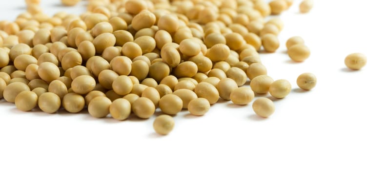 Close up of soya beans on white background