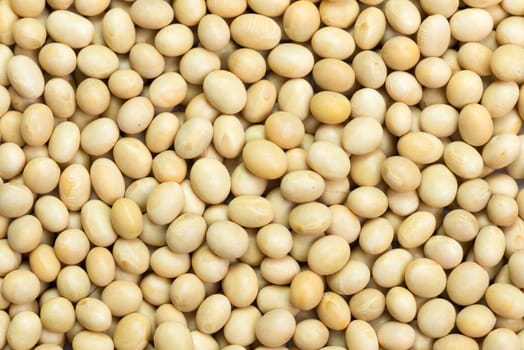 Close up macro image of soya beans