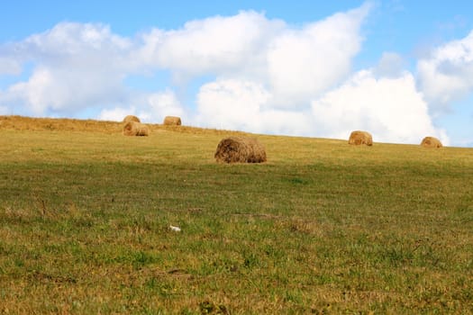 Straw roll bale on the field of farmland