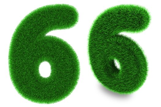 6, number six covered by green grass isolated on white background