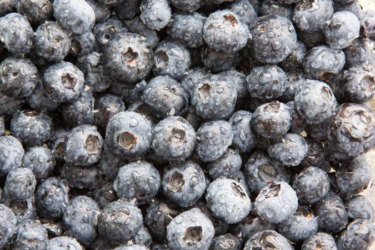 Overhead background texture of ripe indigo coloured washed fresh blueberries on display at a farmers market or during preparation of a healthy dessert in the kitchen