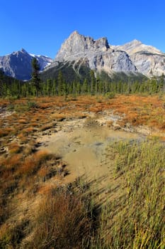 President Range at Emerald Lake, Yoho National Park, British Columbia, Canada