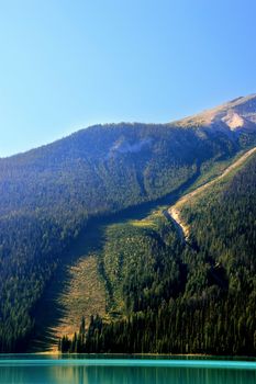 Avalanche path at Emerald Lake, Yoho National Park, British Columbia, Canada