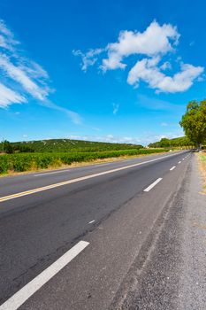 Winding Paved Road near Vineyard in France