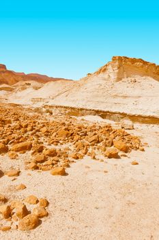 Canyon in the Judean Desert on the West Bank 