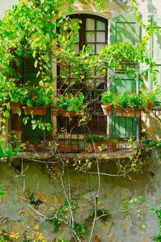 Window with Open Wooden Shutters, Decorated With Fresh Flowers