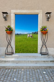 Surreal View of Swiss Pasture through the Window