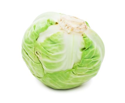 Whole green cabbage isolated on white background