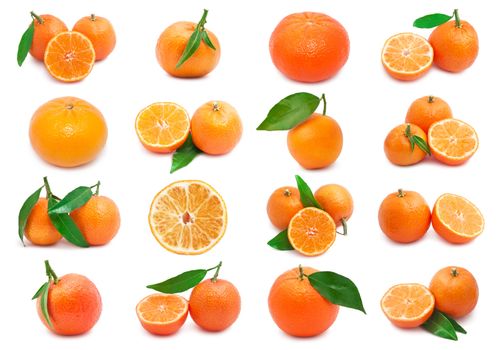 Collection of juicy tangerines or mandarins isolated on white background