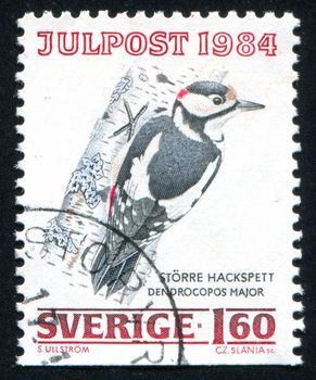 SWEDEN - CIRCA 1984: stamp printed by Sweden, shows Great Spotted Woodpecker, circa 1984