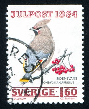 SWEDEN - CIRCA 1984: stamp printed by Sweden, shows Bohemian Waxwing, circa 1984