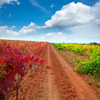 Carinena and Paniza vineyards in autumn yellow red Zaragoza Spain