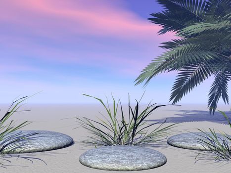 Three stones surrounded with herbs and sand