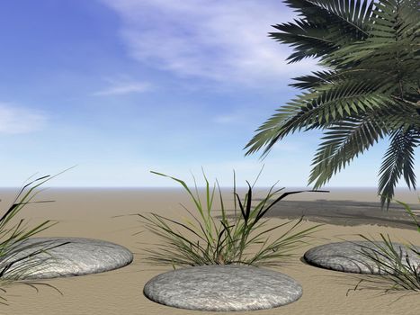 Three stones surrounded with herbs and sand