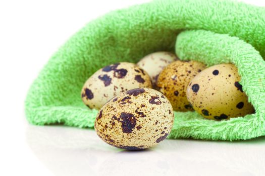 quail eggs isolated on white background