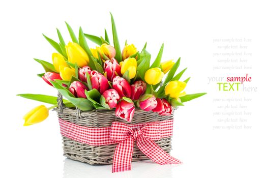 spring tulips in wooden basket, on white background. happy mothers day, romantic still life, fresh flowers