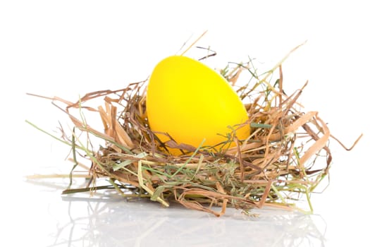 Easter Egg in a nest on a white background