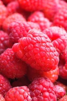 The raspberries close up as a background