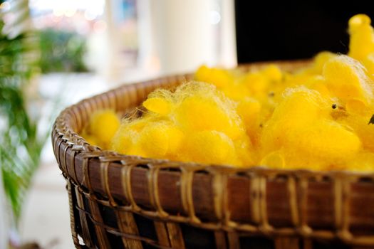 Golden cocoons are placed in the basket.