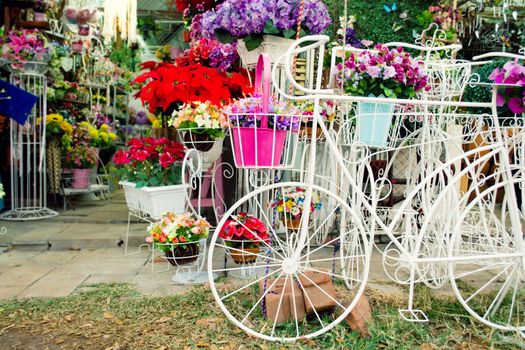 Bicycle Florist in front of flowers shop