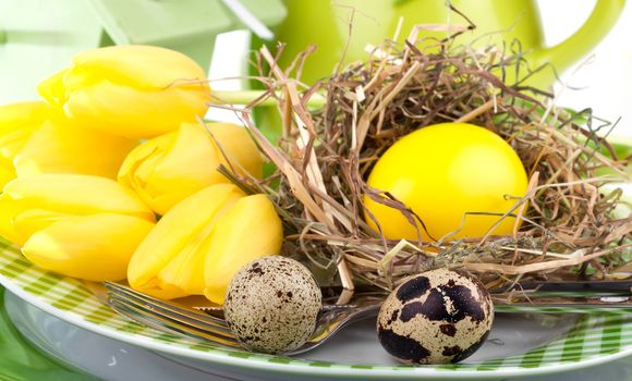 Easter eggs in a plate, on a white background