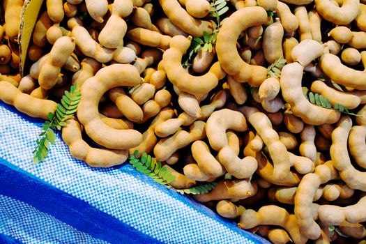 Tamarind was put on the market