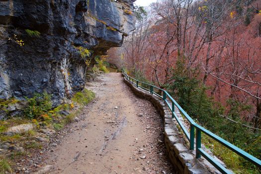 Autumn fall forest in Pyrenees Valle de Ordesa Huesca Spain