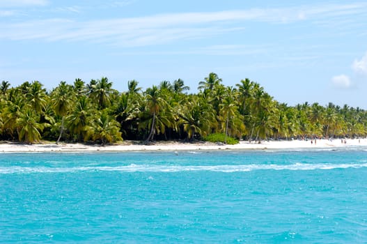 Caribbean island with a nice beach and green palms. The picture of the beach is taken from a boat on sea.