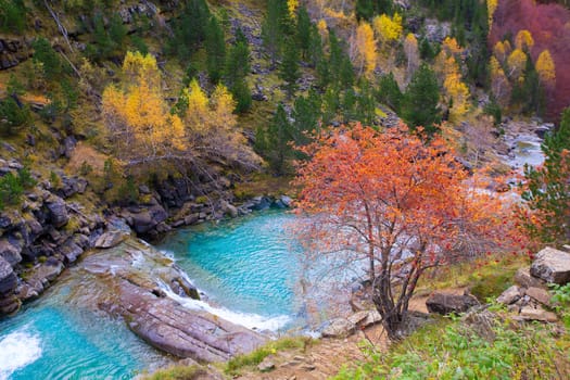 Gradas de Soaso in Arazas river Ordesa valley Pyrenees Huesca Aragon Spain