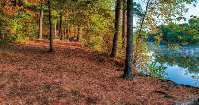 HDR landscape of a forest and pond.