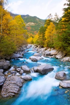 Rio Ara river Bujaruelo in Valle de Ordesa valley Pyrenees Huesca Aragon at Spain