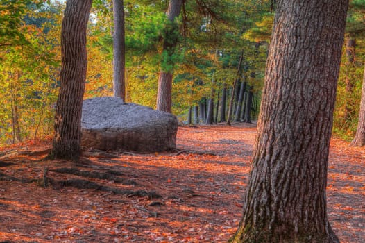 HDR landscape of a forest and large rock