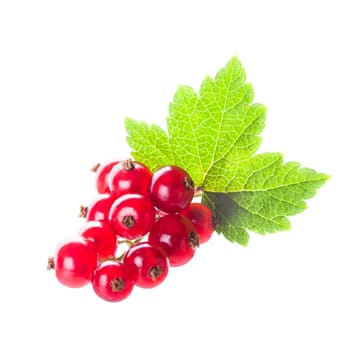 Red currant isolated on a white background