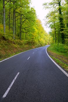 Pyrenees curve road in forest of Spain