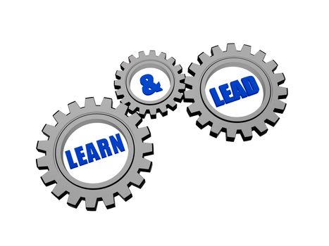 learn and lead - words in 3d silver grey metal gear wheels, business education concept