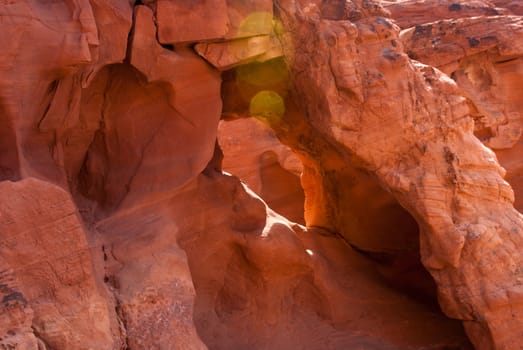 Bokeh on a sunny day on sandstone rocks in Valley of Fire State Park