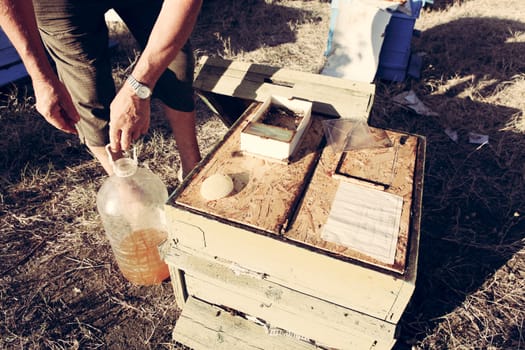 Beekeeper inspecting bees