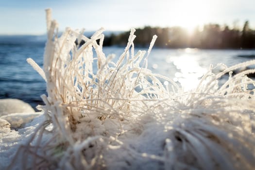 Hay covered in snow and sunshine