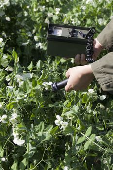 Measuring radiation levels of vegetables